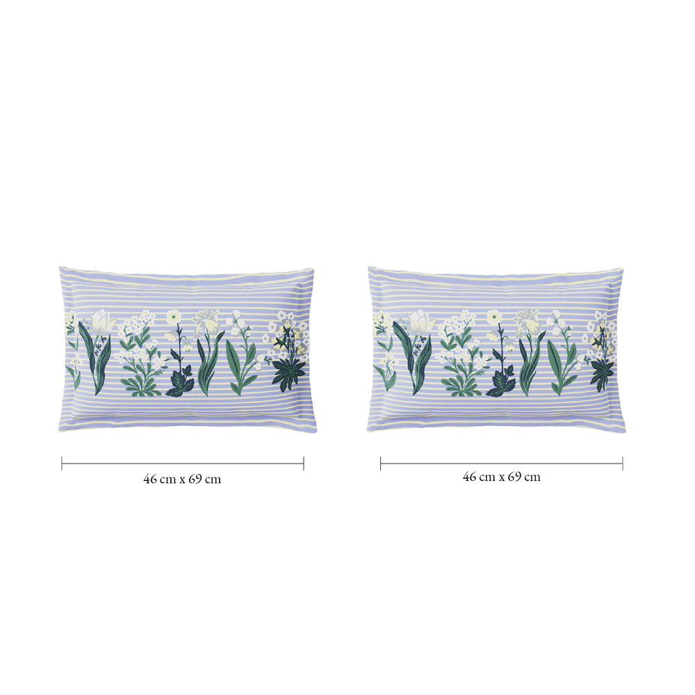 Spaces Fiora 100% Cotton 144 TC Percale Fioral Large Bedsheet with 2 Pillow Covers - 274 x 274 cm, Light Blue