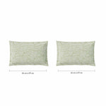Spaces Fiora 100% Cotton 144 TC Percale Fioral Large Bedsheet with 2 Pillow Covers - 274 x 274 cm, Light Green