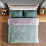 Spaces Fiora 100% Cotton 144 TC Percale Fioral Double Bedsheet with 2 Pillow Covers - 228 x 274 cm, Light Green