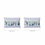 Spaces Fiora 100% Cotton 144 TC Percale Fioral Double Bedsheet with 2 Pillow Covers - 228 x 274 cm, Light Blue