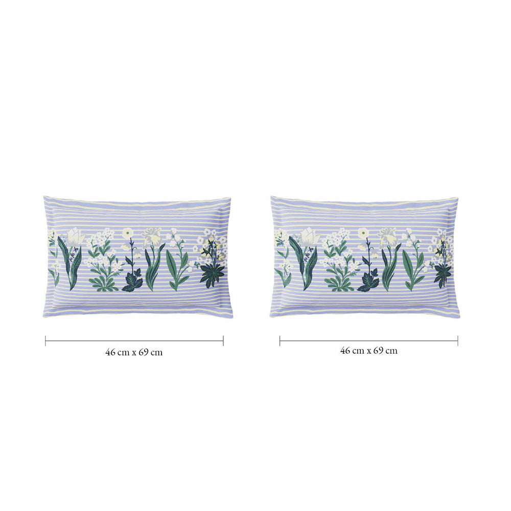 Spaces Fiora 100% Cotton 144 TC Percale Fioral Double Bedsheet with 2 Pillow Covers - 228 x 274 cm, Light Blue