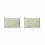 Spaces Fiora 100% Cotton 144 TC Percale Fioral Double Bedsheet with 2 Pillow Covers - 228 x 274 cm, Light Green