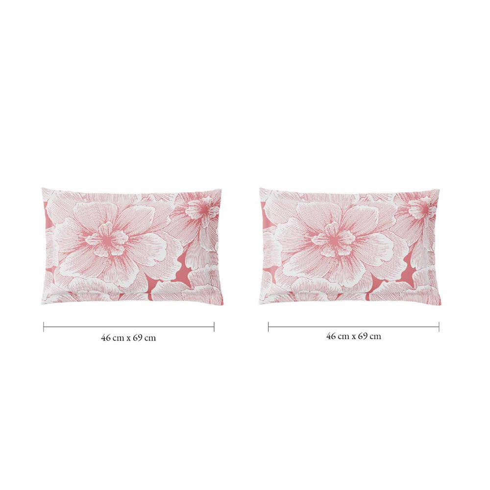 Spaces Fiora 100% Cotton 144 TC Floral Fitted Queen Bedsheet with 2 Pillow Covers - 60 x 78 Inches, Blush