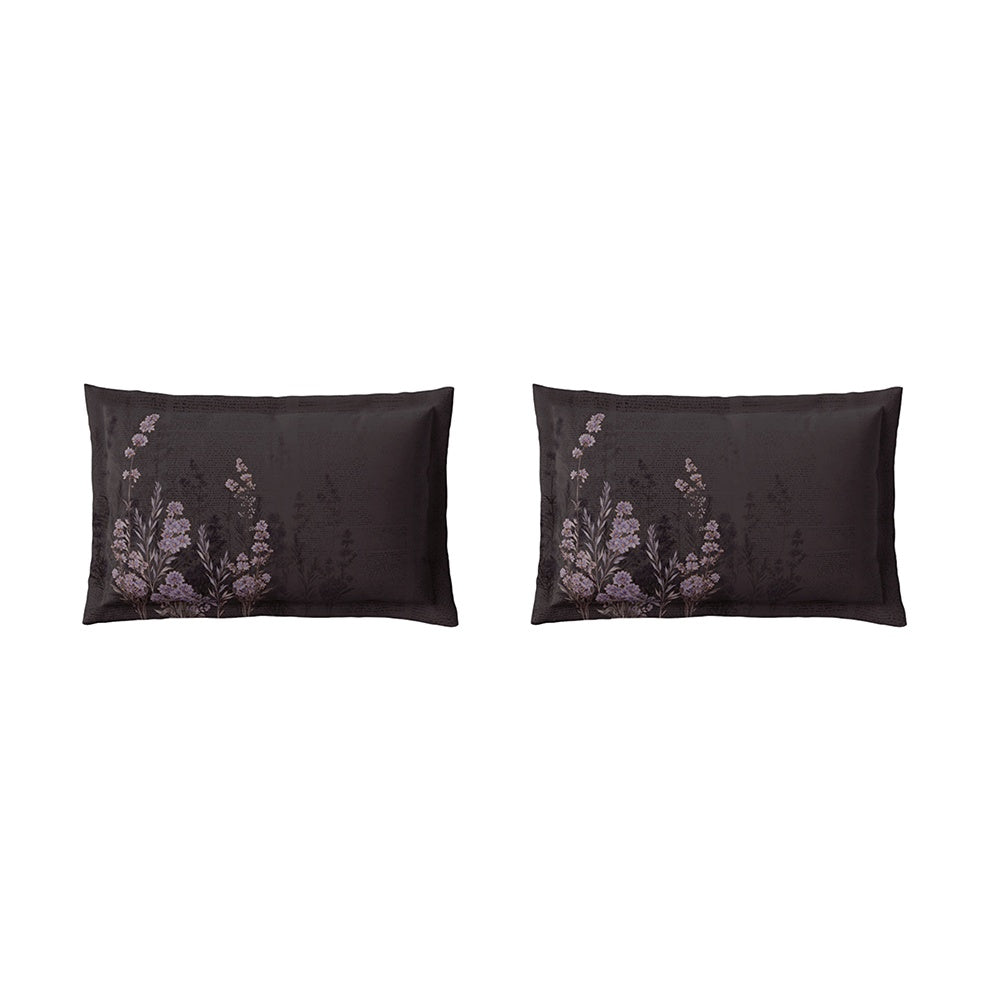 Spaces Avaris 100% Cotton 210 TC Floral Coffee Quartz Large Bedsheet with 2 Pillow Covers - 108 x 108 Inches, Dark Brown