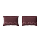 Spaces Neo Ornate 100% Cotton Large Bedsheet with 2 Pillow Covers - 108 x 108 Inches, Blush