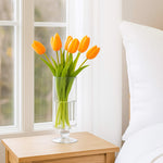 Decorative Glass Vase Jar Large- Transparent