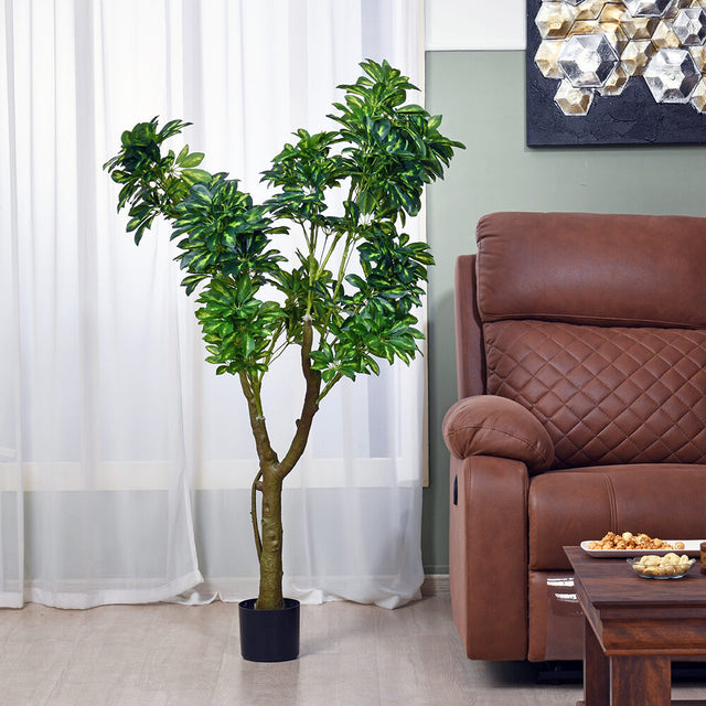 money tree on tropicana Buy Tropicana Artificial Money Tree (Green) Online