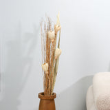 Nilkamal Decorative Maize Flower Dry Stick (Beige)