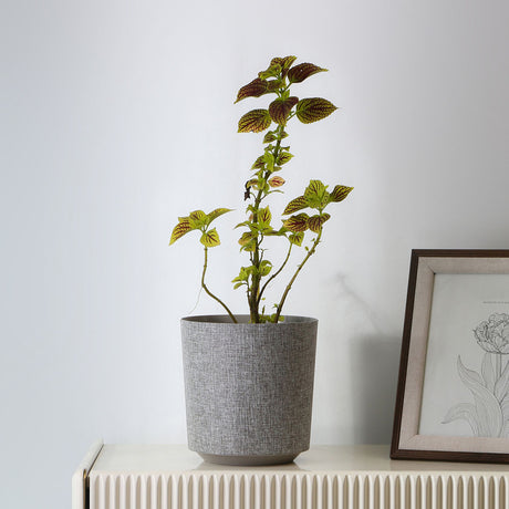 Nilkamal Textured Design Polypropylene Planter Taupe