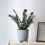 Nilkamal Fluting Design Decorative Polypropylene Planter (Grey)