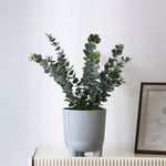 Fluting Design Decorative Polypropylene Planter (Grey)