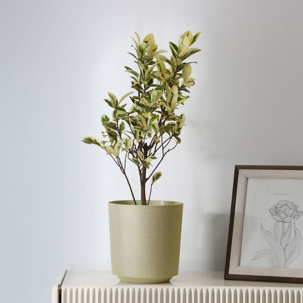 Nilkamal Textured Design Polypropylene Planter Cream