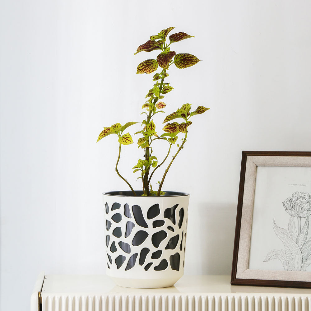 black and cream plant pot Decorative Mosaic Polypropylene Planter (Cream & Black) – Nilkamal Homes
