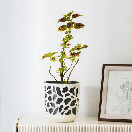 Nilkamal Decorative Mosaic Polypropylene Planter (Cream & Black)