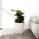 Nilkamal Semi Fluted Design Polypropylene Bucket Planter Cream - 01