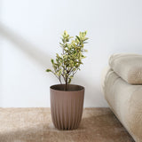 Nilkamal Semi Fluted Design Polypropylene Bucket Planter Latte - 02