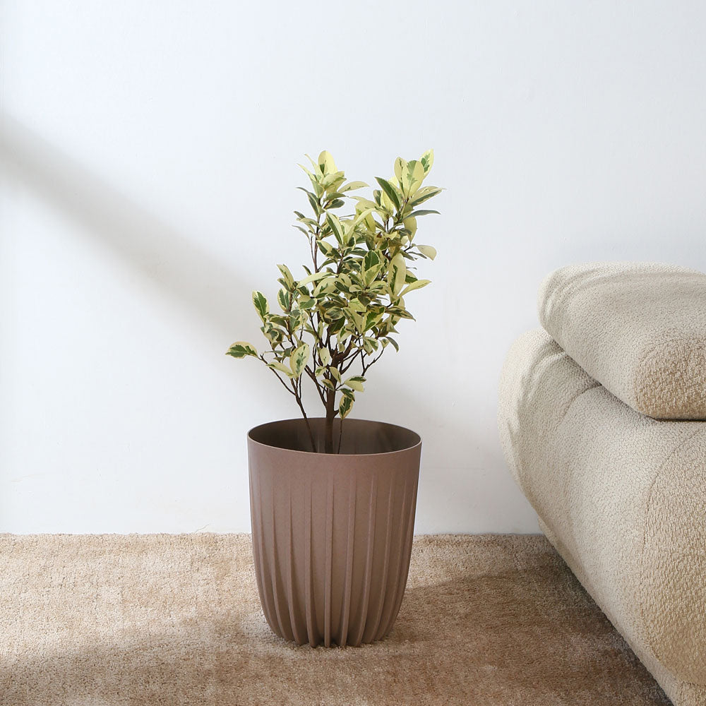 Semi Fluted Design Polypropylene Bucket Planter (Latte)