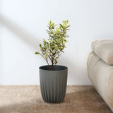 Nilkamal Semi Fluted Design Polypropylene Bucket Planter Grey - 02