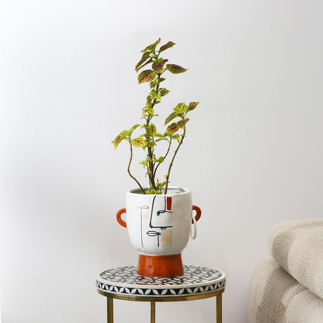 Nilkamal Decorative Face Art Dolomite Planter (White)