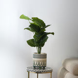 Nilkamal Abstract Design Decorative Dolomite Planter (Blue & White)