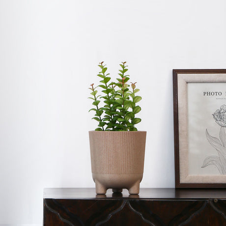 Nilkamal Fluted Design Polypropylene Mini Planter (Latte)