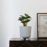 Nilkamal Fluted Design Polypropylene Mini Planter (Grey)
