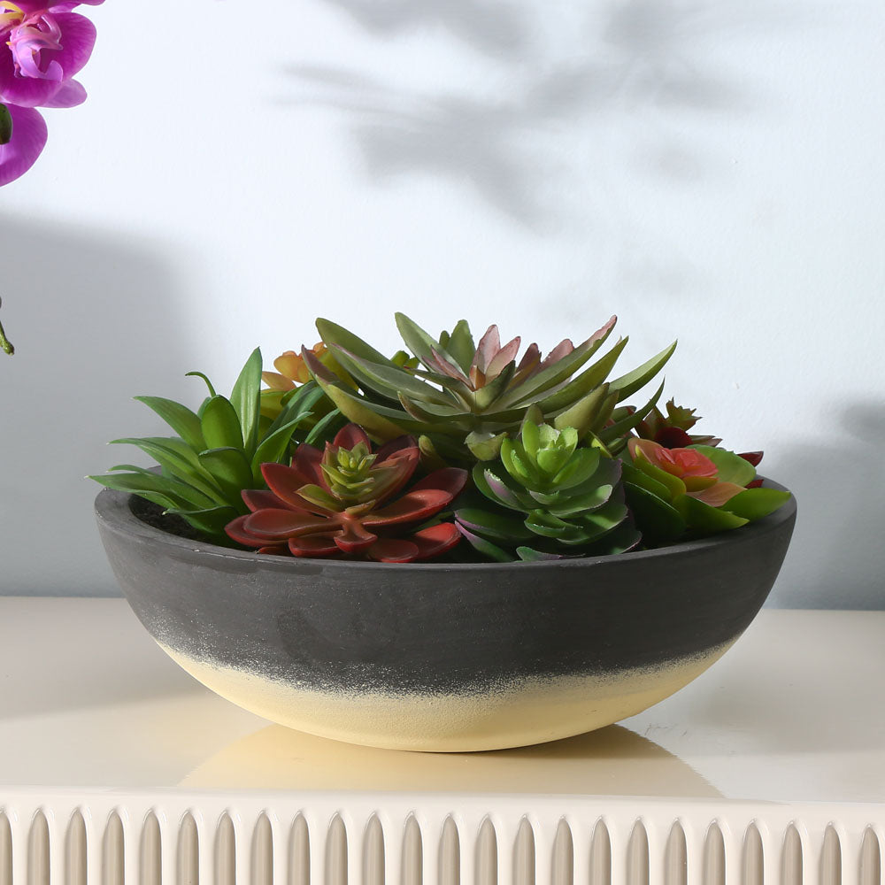 Nilkamal Artificial Succulent Plant With Round Pot (Green) - 02