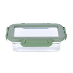 Multipurpose Airtight 600 ml Food Container- Transparent & Green