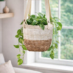 Dual Tone Planter with Handle- White & Brown