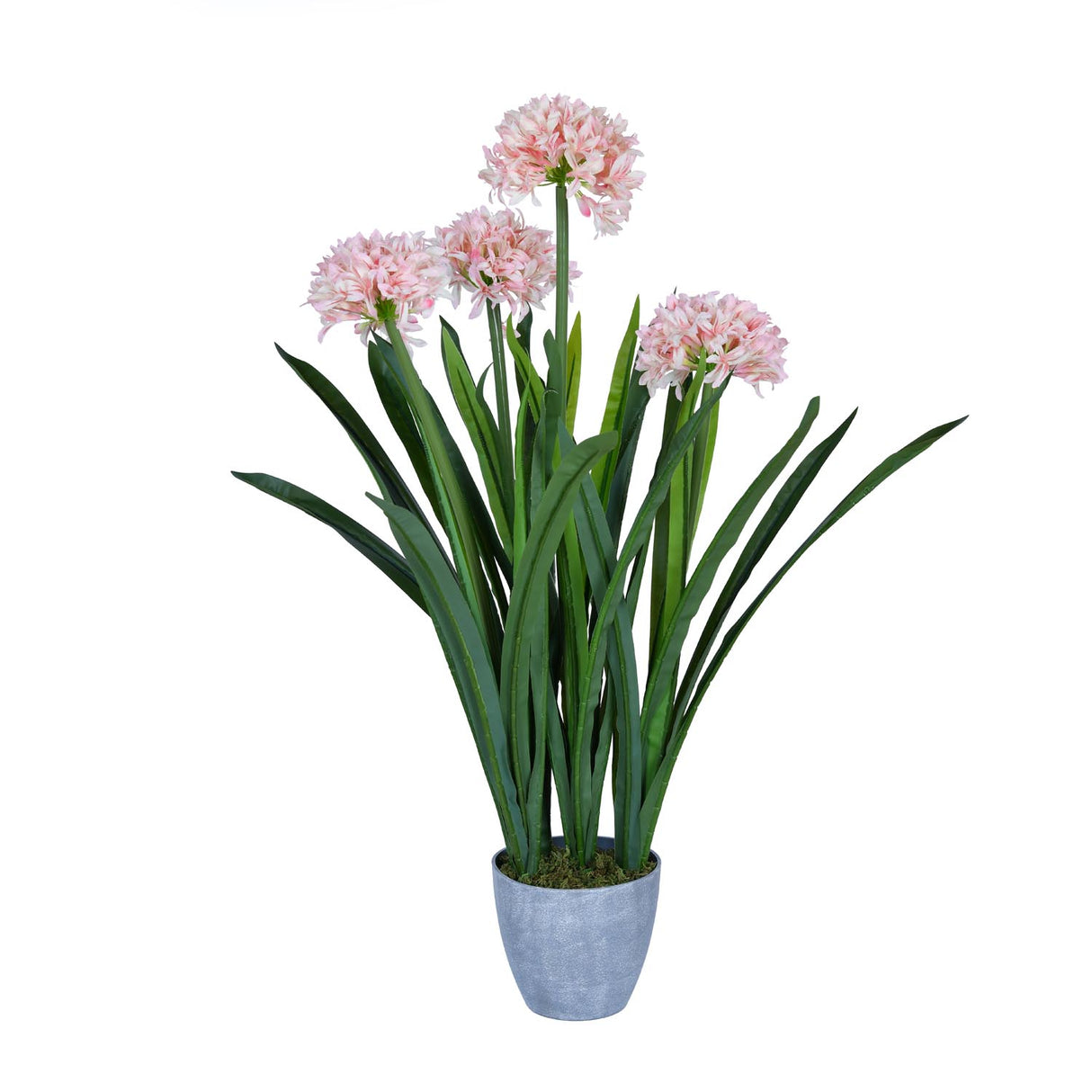 Narcissus Grass Artificial Potted Plant- Pink & Green