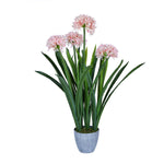 Narcissus Grass Artificial Potted Plant- Pink & Green