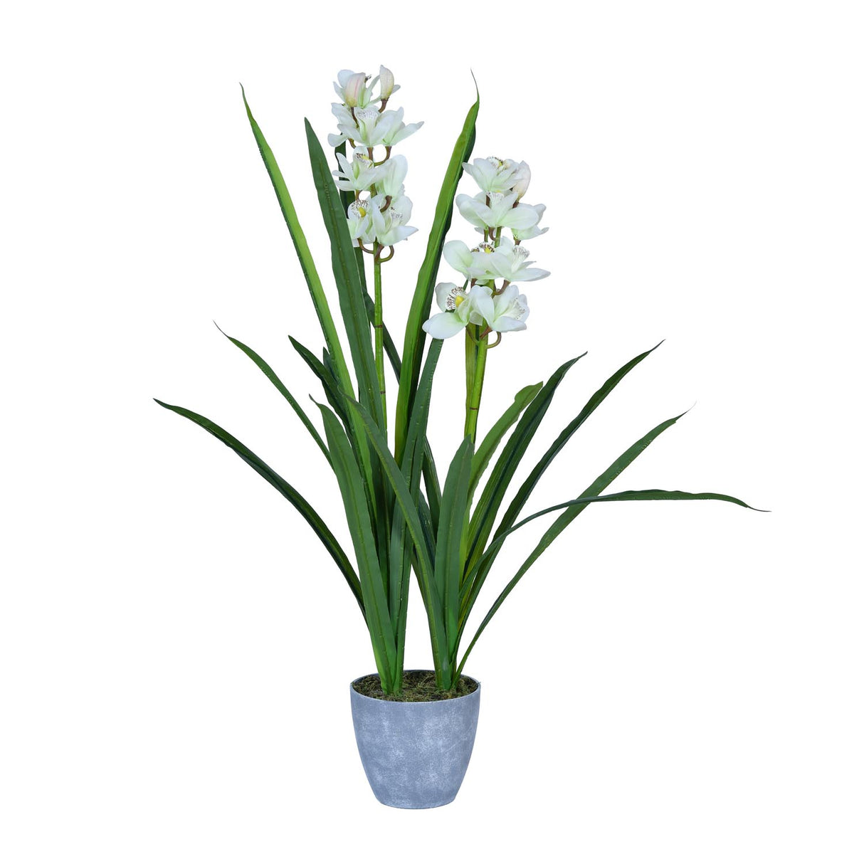 Orchid Grass Artificial Potted Plant- Cream & Green