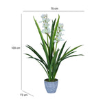 Orchid Grass Artificial Potted Plant- Cream & Green
