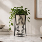 Decorative Planter On Diamond Shaped Stand- Small, Ivory & Black