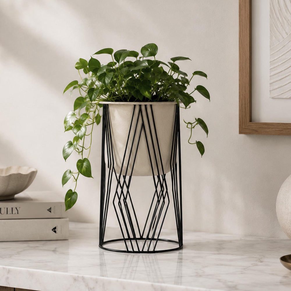 Decorative Planter On Diamond Shaped Stand- Small, Ivory & Black