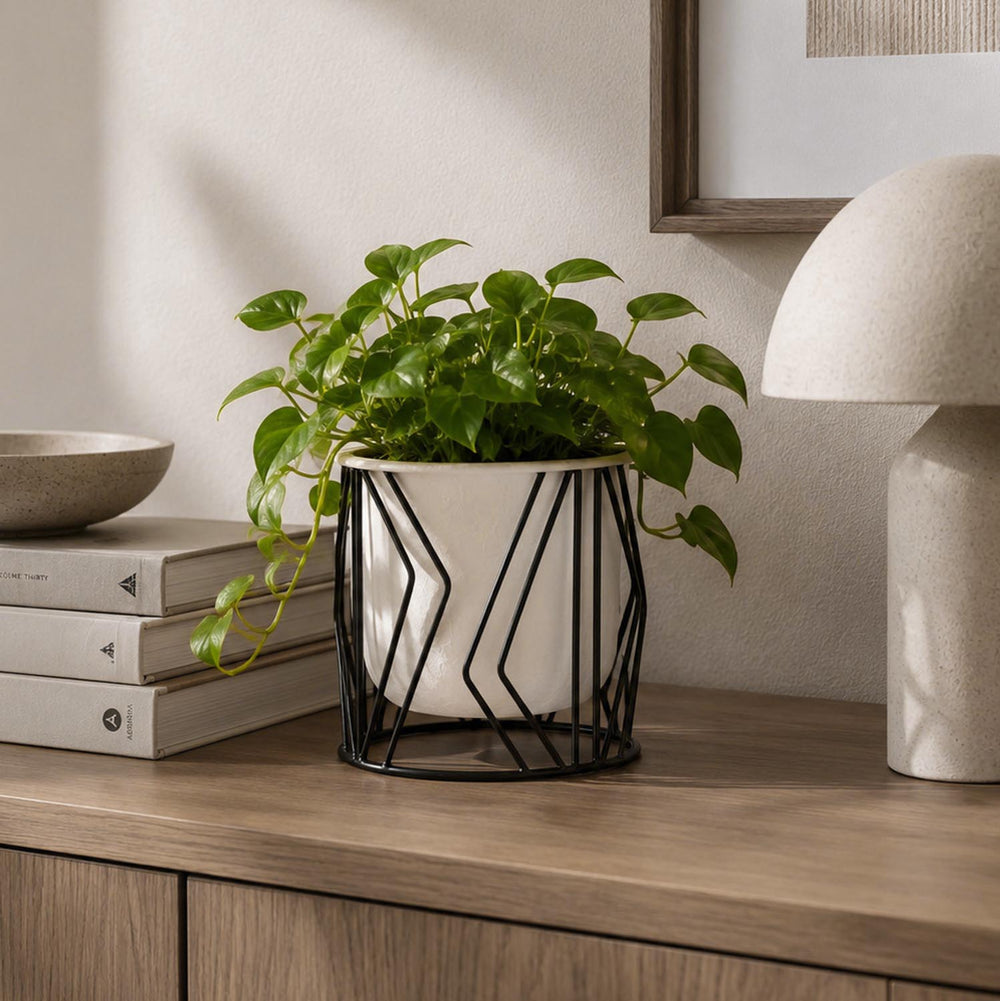 Decorative Planter On Zigzag Stand- Small, Ivory & Black
