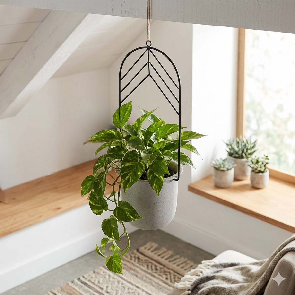 Elegant Dome Hanging Planter- Ivory & Black