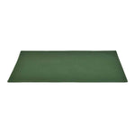 Lemon Lush Cotton Placemat Set of 4- Green