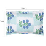 Botanica Pop Polyester Queen Bedsheet with Pillow Covers- Multicolor