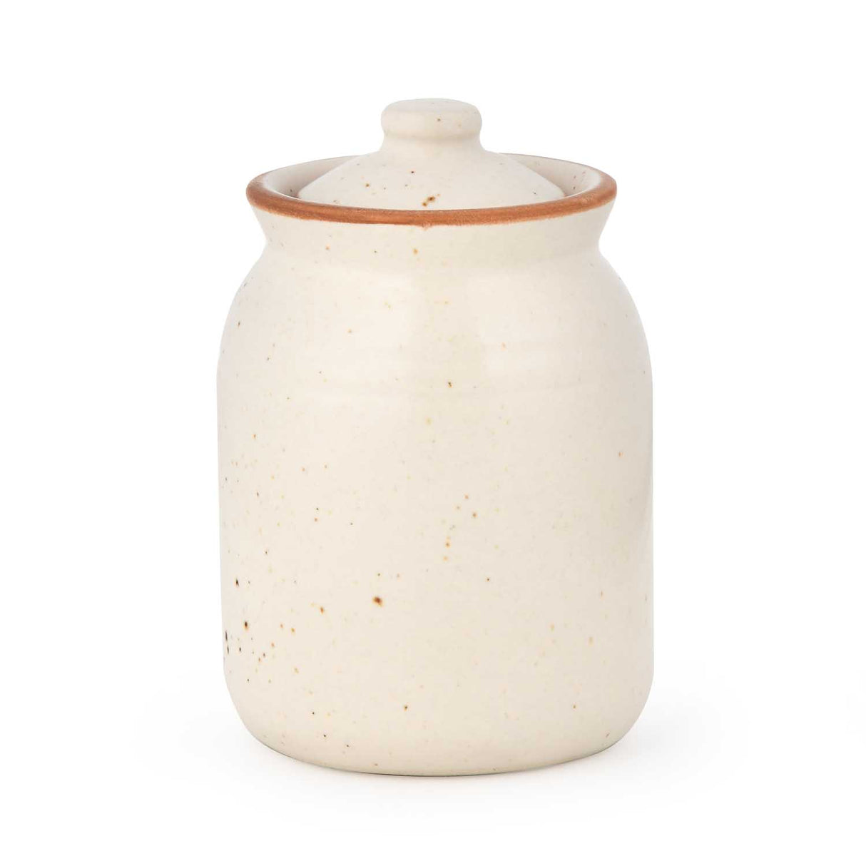 Multipurpose Stoneware Condiment Small Jar- Cream