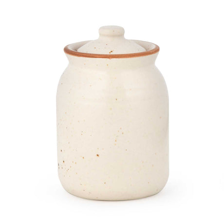 Multipurpose Stoneware Condiment Small Jar- Cream