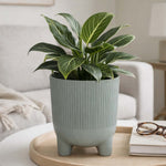 Recycled Mini Fluting Planter 15cm- Green