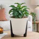 Recycled Classic Trileg Planter- Beige