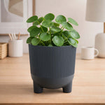 Recycled Mini Fluting Planter 15cm- Grey
