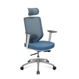 Poise Pro High Back Mesh Chair- White and Blue