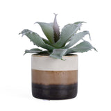 Succulent Artificial Potted Plant- Green