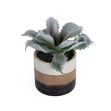 Succulent Artificial Potted Plant- Green