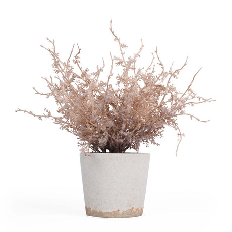 Flocking Artificial Potted Plant- Pink