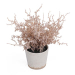 Flocking Artificial Potted Plant- Pink