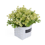 Milan Flower Potted Plant- Green